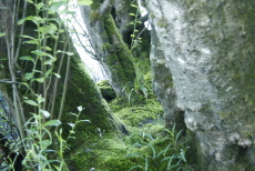 pic 1